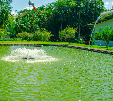 Coleta de água da chuva