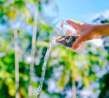 Um futuro Sustentável.