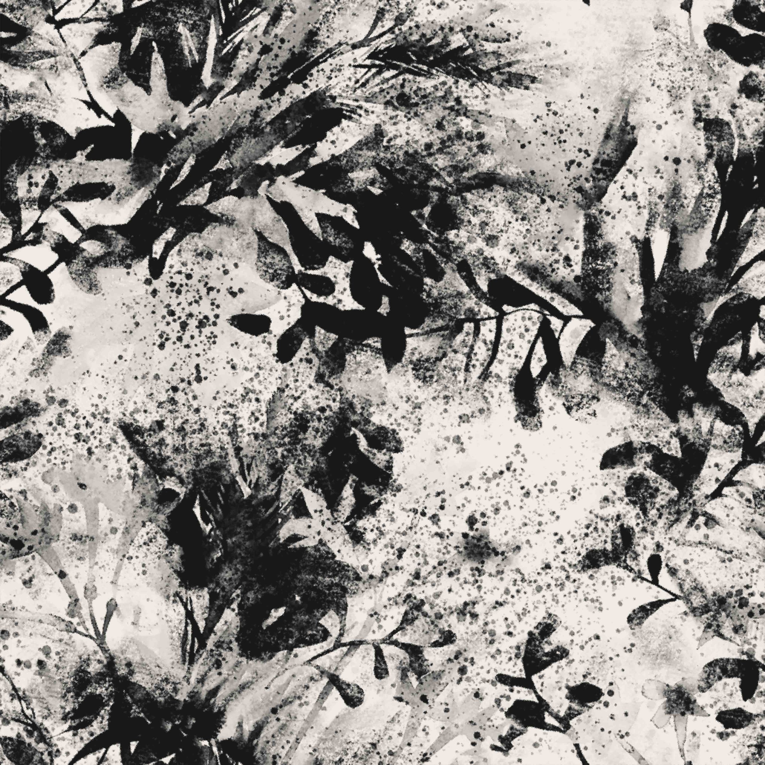 021_FLG_TS_  – Calmare – Studio N